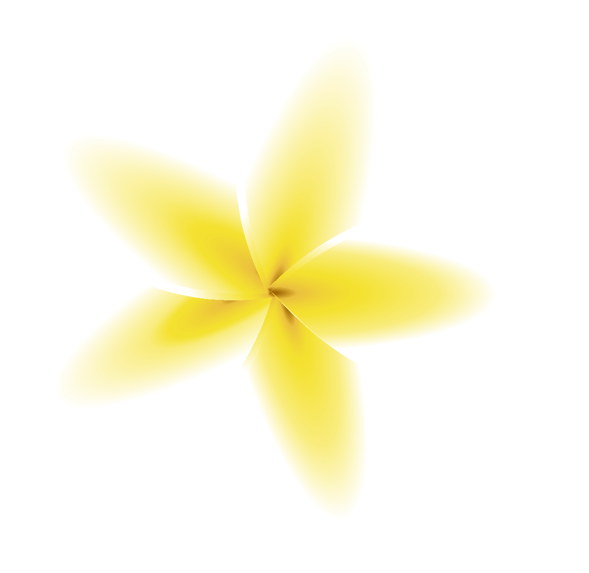Inicio 1 flowers